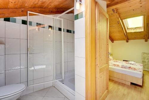 bagno con doccia e servizi igienici. di Villa Sherpa a Sveti Lovreč Pazenatički