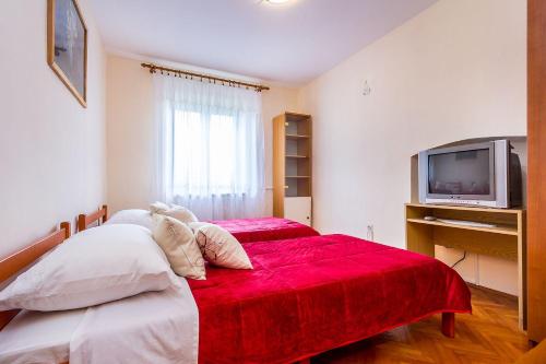 1 dormitorio con 2 camas y TV en Ferienwohnung mit WLAN, Klima, Parkplatz, Grill und großem Garten zum Fußball spielen, en Gajana