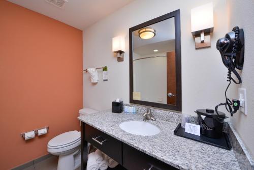 a bathroom with a sink and a mirror and a toilet at Sleep Inn & Suites Austin – Tech Center in Austin