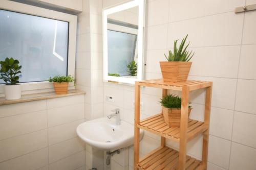 a bathroom with a sink and a toilet and some plants at Ferienwohnung Strandhaus Möwenberg App. 77 in Scharbeutz