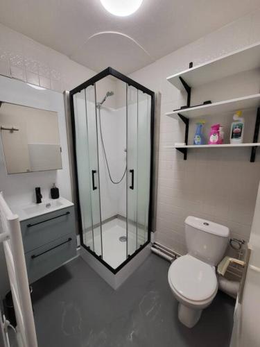 une salle de bain avec une douche, des toilettes et un lavabo dans l'établissement Le studio des oursons, à Auris