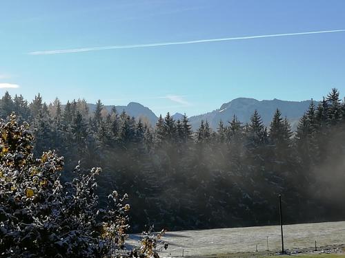 a view of a forest of trees with mountains in the background at Ferienwohnung zum Gimpei in Siegsdorf