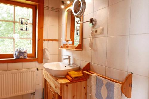 a bathroom with a sink and a mirror at Mein Blockhaus in Hasselberg