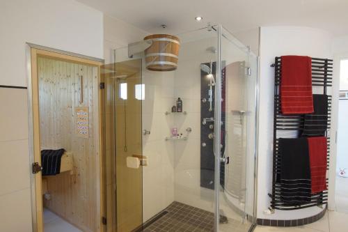 a shower with a glass door in a bathroom at Thor's Schleilounge in Olpenitz