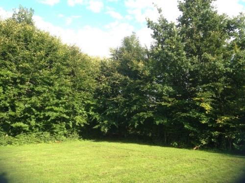 a field with trees and green grass in front at Schleiglanz in Ulsnis