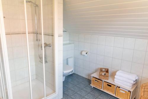 a bathroom with a shower and a toilet at Ferienhaus Dat smuke Swedenhuus in Kappeln