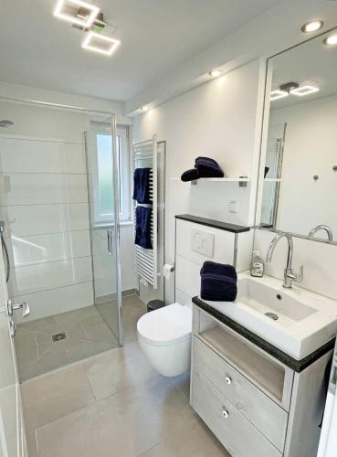 a bathroom with a toilet and a sink and a shower at Schlei-Idyll in Kappeln