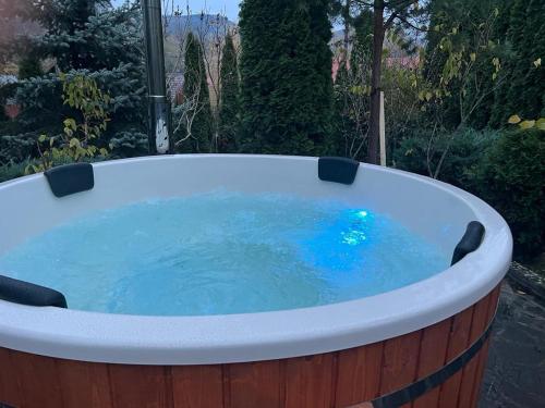 a jacuzzi tub in a garden at Casa Ella Breaza in Plaiul Cornului