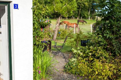Zahrada ubytování FerienGut Gaarz - Im Park 3