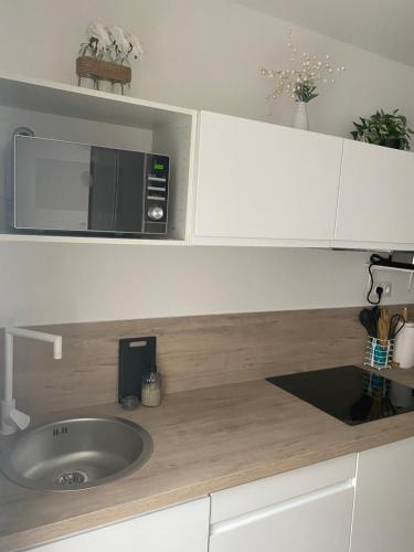 a kitchen counter with a sink and a microwave at Studio spacieux proche gare et centre ville in Saint-Amand-les-Eaux