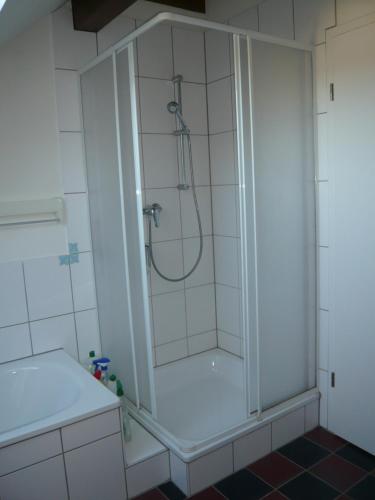 een douche met een glazen deur in de badkamer bij Ferienwohnung auf kleinem Pferdehof in Much in Much