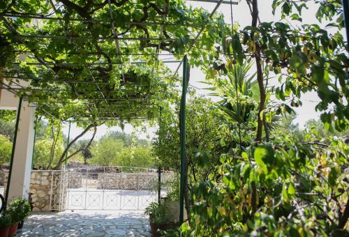 a garden with a pergola and some plants at Casa de Calma in Argostoli