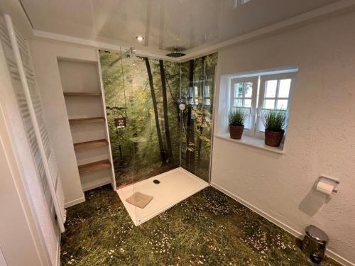 a walk in shower in a room with a window at Ammerland 2 in Bad Zwischenahn
