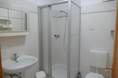 a bathroom with a shower and a sink and a toilet at Landhaus am See App. 2 in Pönitz am See