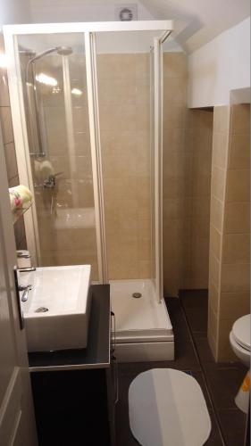 a bathroom with a shower and a sink and a toilet at Apartments Top Center in Zagreb