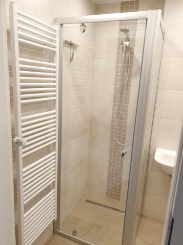 a shower with a glass door in a bathroom at Apartment Fördeblick in Damp
