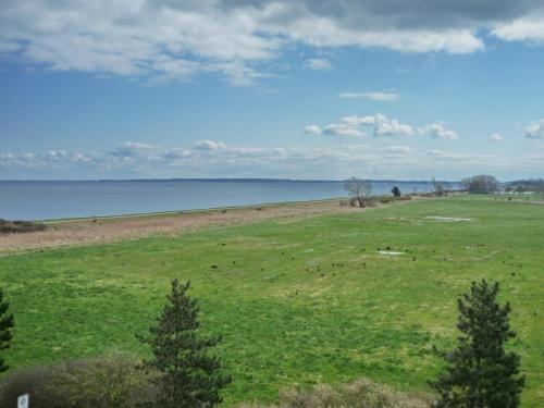a field with animals grazing in the grass near the water at Ferienwohnung StrandinSicht in Damp