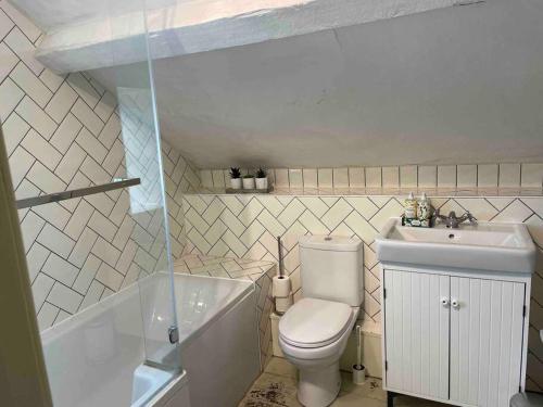 Baño pequeño con aseo y lavamanos en Ty Twty, Montgomery Cottage, en Montgomery