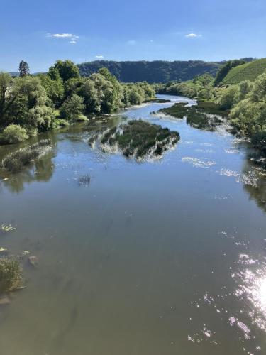 an aerial view of a river with trees at Gästehaus Cantzheim in Kanzem