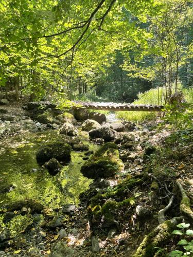 Naturlandschaft in der Nähe der Ferienwohnung