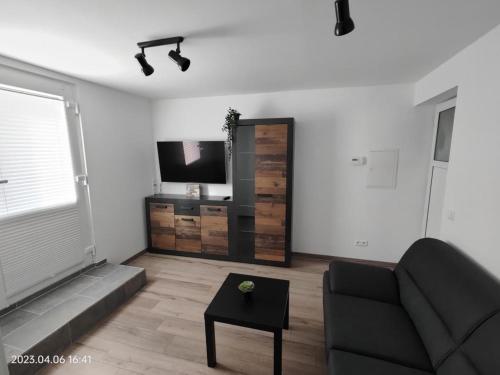 a living room with a couch and a television at Ferienwohnung Wildgans 2 Dollart Ostfriesland in Ditzumerverlaat