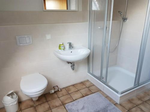 ein Bad mit einer Dusche, einem WC und einem Waschbecken in der Unterkunft NEU Ferienwohnung Kropp OG - Rechts in Kropp