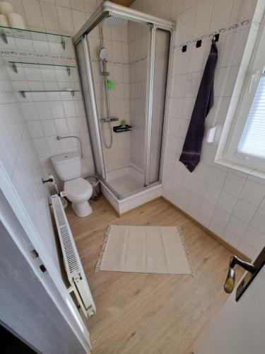 a bathroom with a shower and a toilet at Ferienhaus Am Zollhaus in Teplingen
