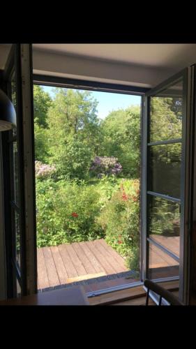 a window view of a garden outside a house at NEU! Ferienhaus mit Naturgarten in Gleschendorf