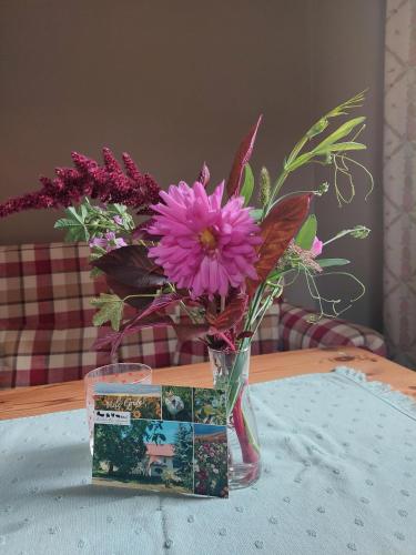 a vase filled with purple flowers on a table at NEU! Ferienwohnung Böhlitz Neun in Grimma
