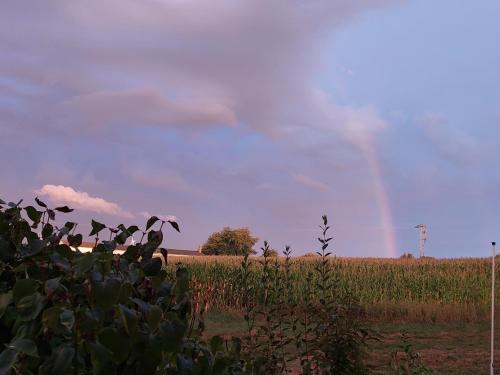 a rainbow in the sky over a field with crops at NEU! Ferienwohnung Böhlitz Neun in Grimma