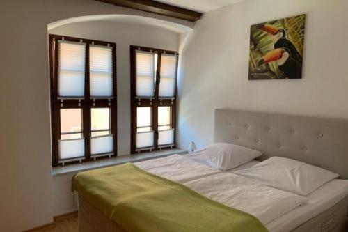 1 dormitorio con 1 cama grande y 2 ventanas en NEU! Fewo History 2 Altstadt, en Aschersleben