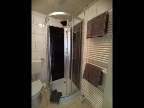 ein Bad mit einer Dusche und einem WC in der Unterkunft NEU FeWo Oels Großalmerode in Großalmerode