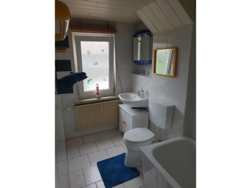 a small bathroom with a toilet and a sink at NEU! FeWo Harzfire mit Kamin in Bad Harzburg