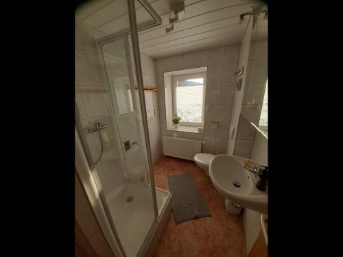 La salle de bains est pourvue d'une douche et d'un lavabo. dans l'établissement NEU! Ferienwohnung Hanka, à Crostwitz