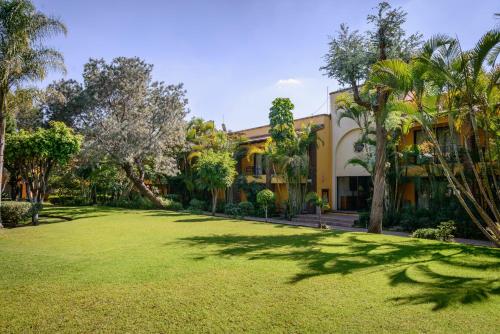 a large yard in front of a building with palm trees at Wyndham Garden Guadalajara Expo Plaza del Sol in Guadalajara