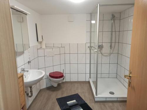 ein Bad mit einer Dusche, einem WC und einem Waschbecken in der Unterkunft NEU Ferienwohnung Biesfeld-Altes Backhaus in Kürten