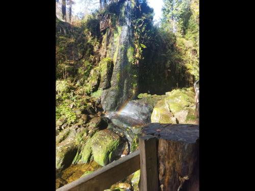 Blick auf einen Wasserfall in einem Wald in der Unterkunft NEU! Ferienwohnung Talblick in Hinterfalkau