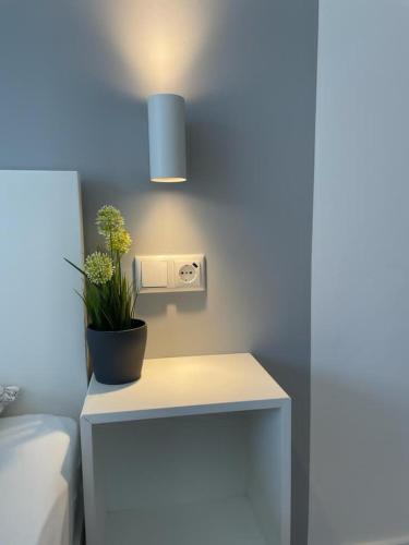 a white table with a potted plant on top of it at NEU! Appartement Wellenrauschen in Petersdorf auf Fehmarn