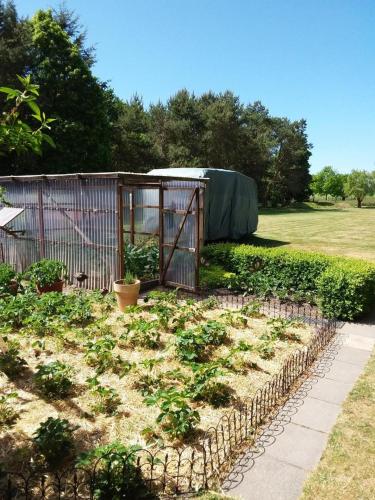 a garden with a fence and some plants at NEU Ferienhaus am Saaler Bodden in Bartelshagen