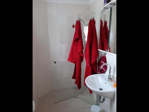 a bathroom with a sink and a shower with red towels at NEU! Ferienwohnung Teichblick in Bad Grund in Bad Grund