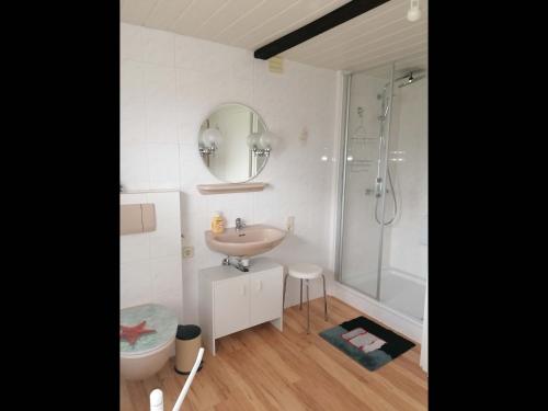 een badkamer met een wastafel en een douche bij NEU! Morderne Ferienwohnung Hohenzieritz in Hohenzieritz