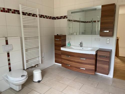 a bathroom with a toilet and a sink and a mirror at NEU! Ferien an der Schmiede in Bimöhlen