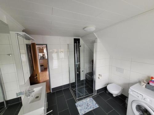 a bathroom with a shower and a toilet and a sink at NEU! Fewo Merle mit Balkon in Carolinensiel