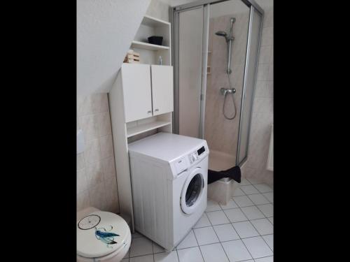 a bathroom with a washing machine and a shower at NEU! Geschmackvolle FeWo Lengenfeld in Lengenfeld
