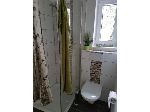 a bathroom with a toilet and a window at NEU Apartment am Birkenfeld Allgäu Kaufbeuren in Steinholz