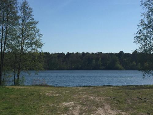 Billede fra billedgalleriet på NEU! Modernes Ferienhaus Seegras i Harkebrügge