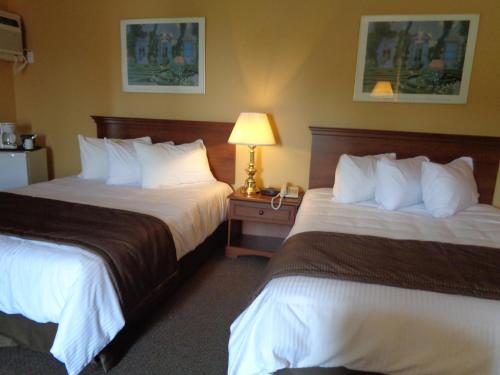 a hotel room with two beds and a lamp at Motel Cofotel in Saint-Siméon