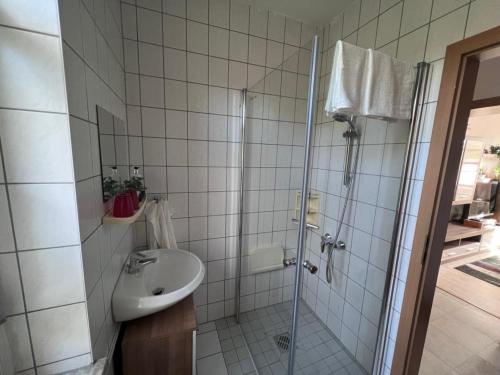 uma casa de banho com um chuveiro e um lavatório. em FeWo Milchstrasse Halle em Halle an der Saale