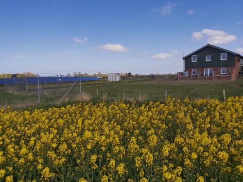 Fotografie z fotogalerie ubytování NEU! Ferienhaus Taja Niebüll mit Sauna v destinaci Niebüll