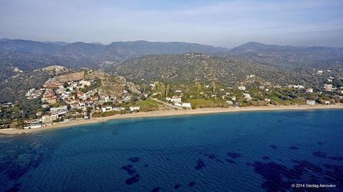 Gambar di galeri bagi Apollon (ex. Albatros) di Plomari